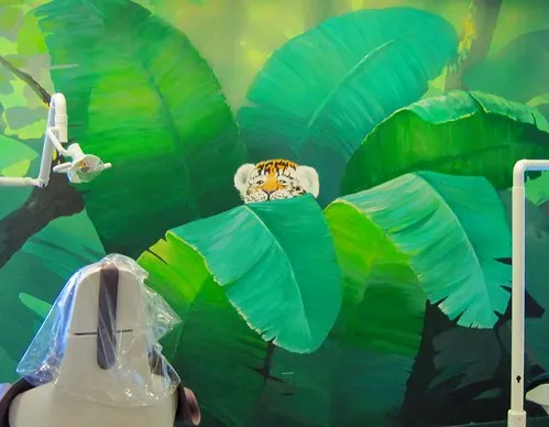 DENTIST OFFICE MURALS